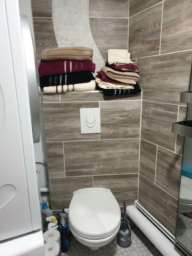 Residence Azur Sancy Fibre Orange Le Mont-Dore Ngoại thất bức ảnh