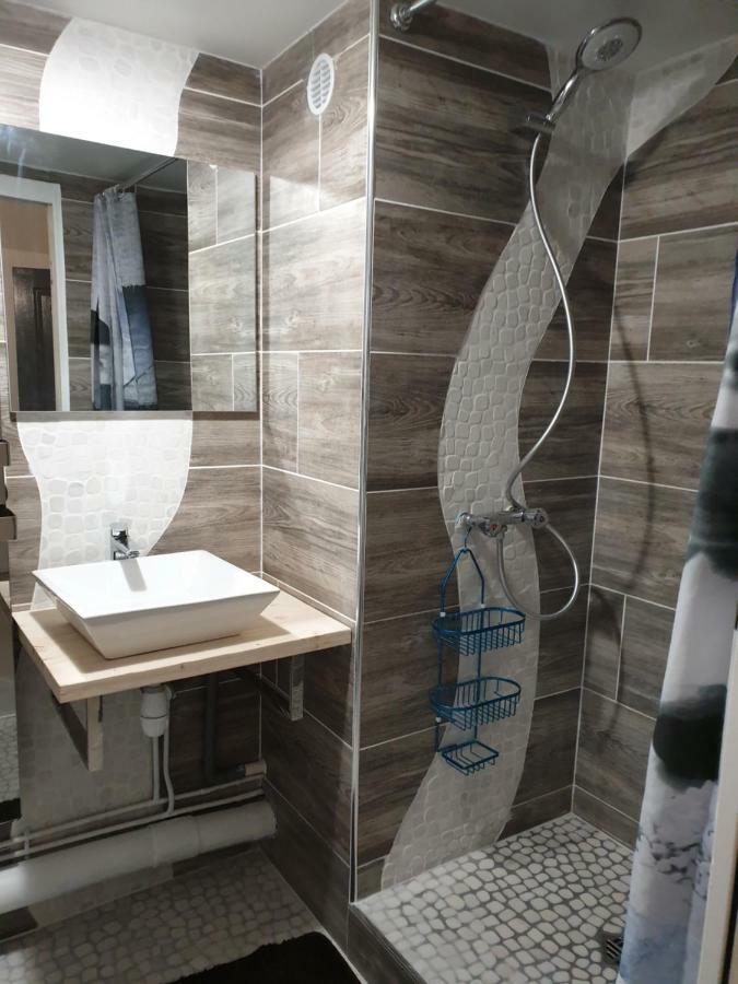 Residence Azur Sancy Fibre Orange Le Mont-Dore Ngoại thất bức ảnh